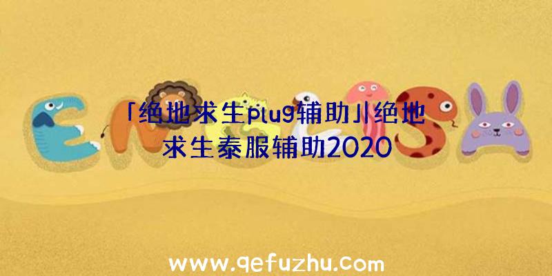 「绝地求生plug辅助」|绝地求生泰服辅助2020